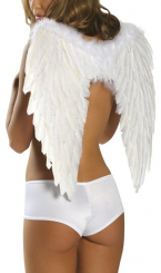 Белые крылья, фото